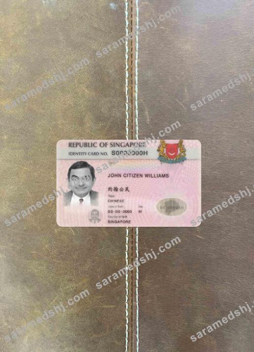 Singapore ID (updated) photolook FRONT
